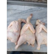 Köy Tavuğu Köy Tavuğu