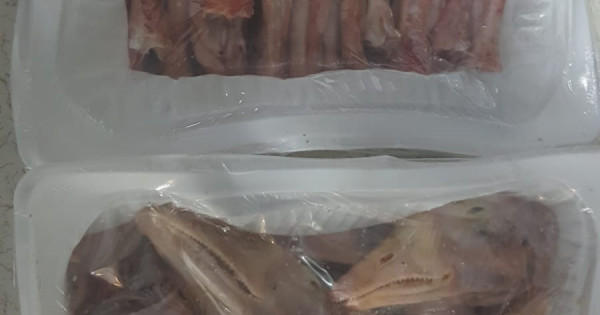 Sakatat KafaAyak SKT89393849