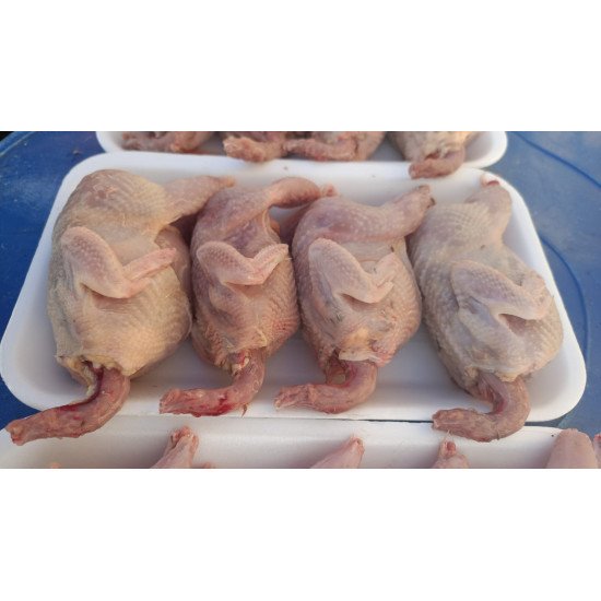 Quail meat 10 pcs