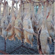 goose neck 1kg goose neck 1kg