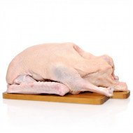 Goose meat all